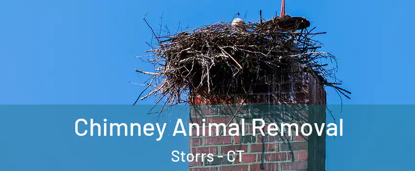  Chimney Animal Removal Storrs - CT