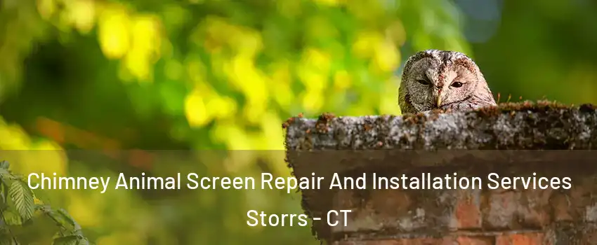  Chimney Animal Screen Repair And Installation Services Storrs - CT