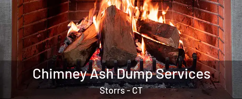  Chimney Ash Dump Services Storrs - CT