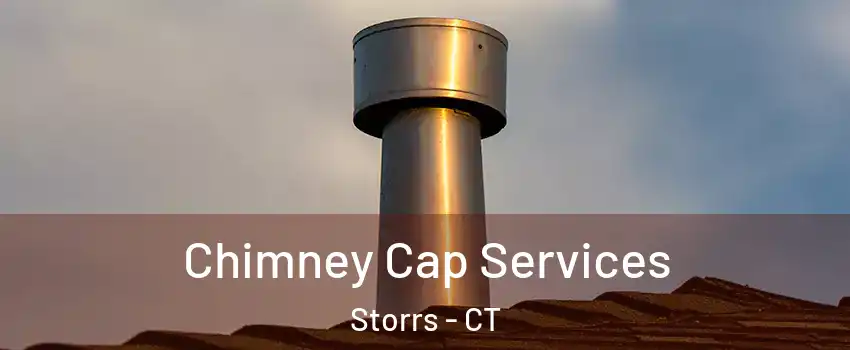  Chimney Cap Services Storrs - CT