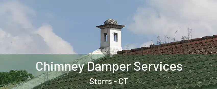  Chimney Damper Services Storrs - CT