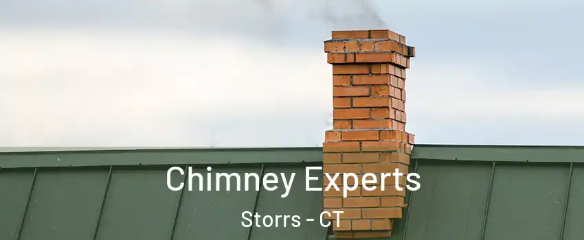  Chimney Experts Storrs - CT