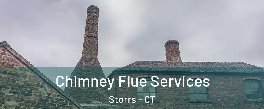  Chimney Flue Services Storrs - CT