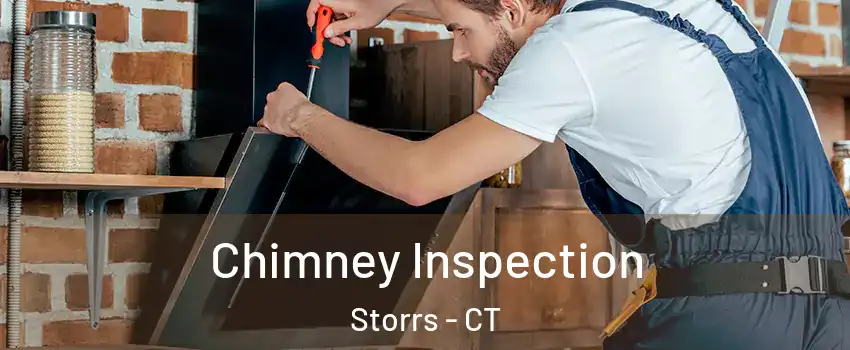  Chimney Inspection Storrs - CT