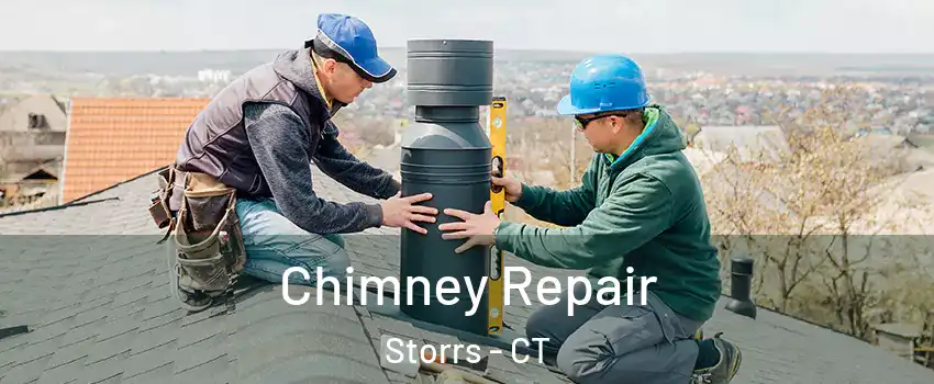  Chimney Repair Storrs - CT