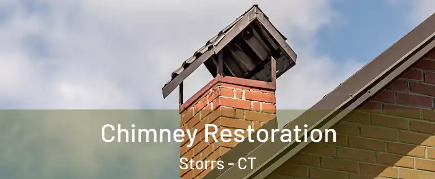  Chimney Restoration Storrs - CT
