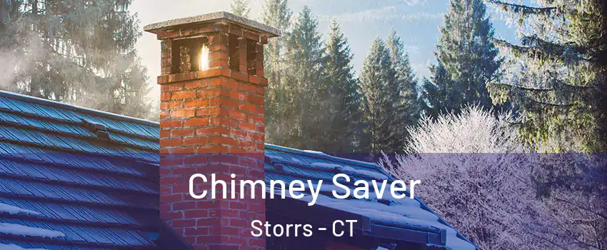  Chimney Saver Storrs - CT