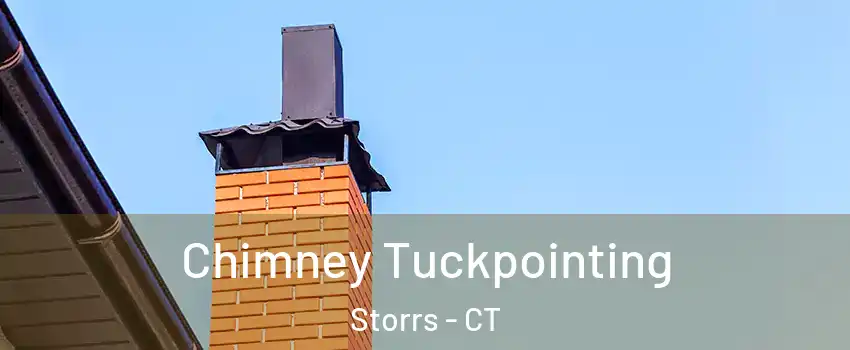 Chimney Tuckpointing Storrs - CT