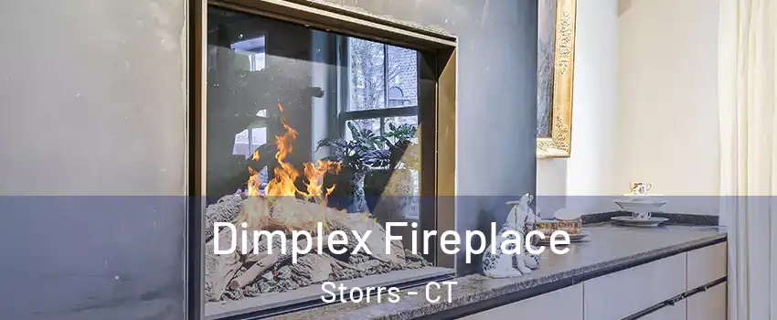  Dimplex Fireplace Storrs - CT