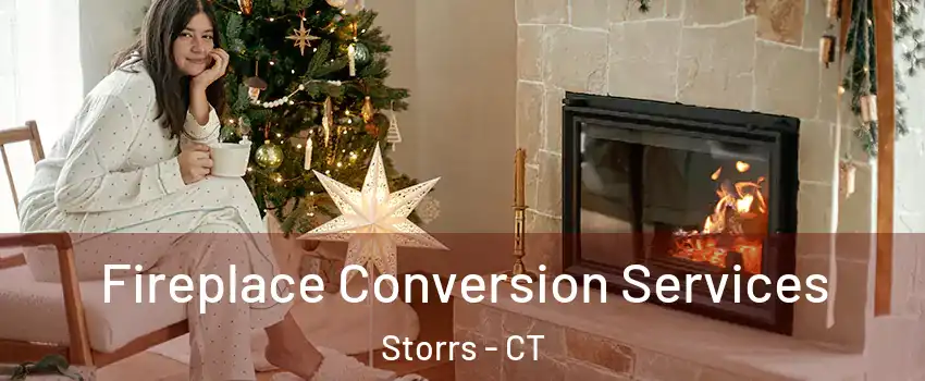  Fireplace Conversion Services Storrs - CT