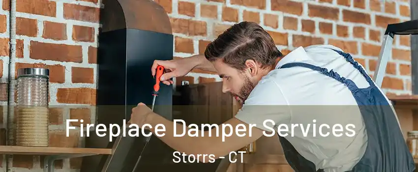  Fireplace Damper Services Storrs - CT