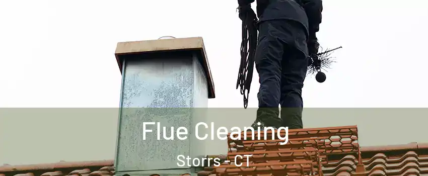  Flue Cleaning Storrs - CT