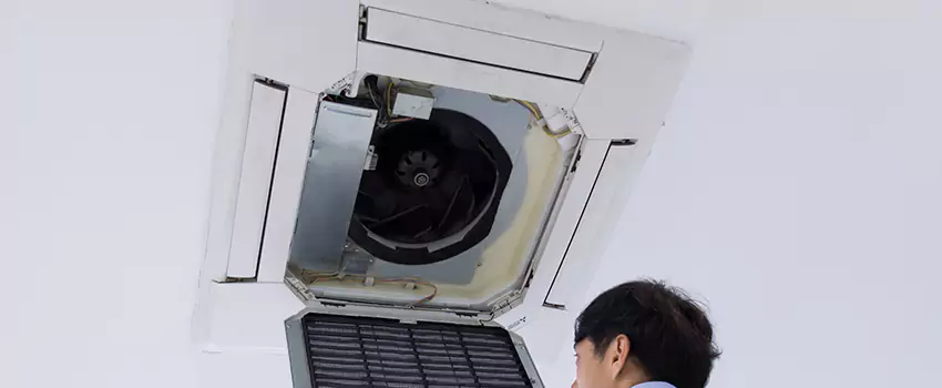 Benefits of Professional Air Duct Cleaning in Storrs, Connecticut