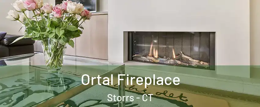 Ortal Fireplace Storrs - CT