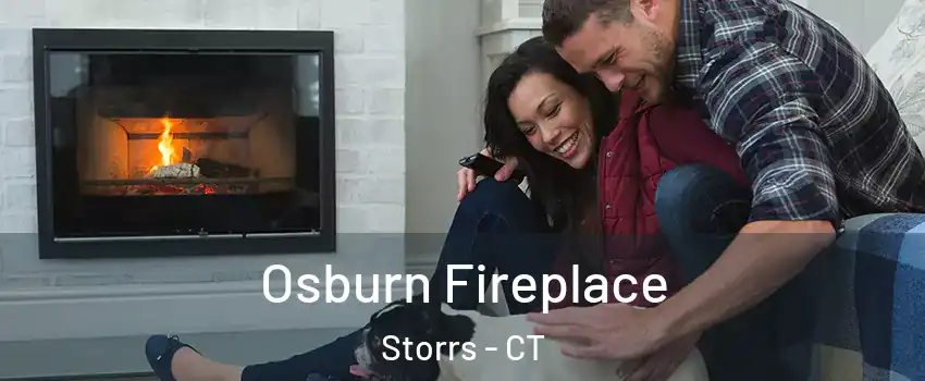  Osburn Fireplace Storrs - CT